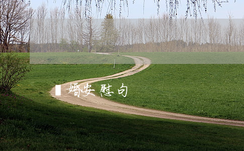 離婚安慰句