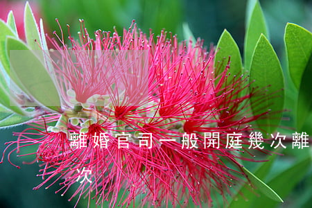 離婚官司一般開庭幾次(離婚官司一般開庭幾次)