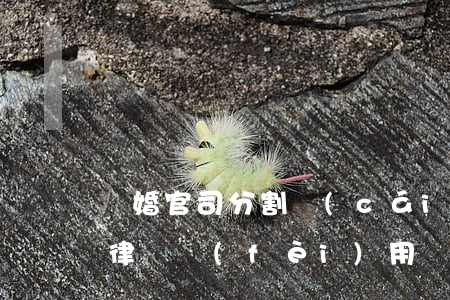 離婚官司分割財(cái)產(chǎn)律師費(fèi)用(離婚案件財(cái)產(chǎn)分割律師收費(fèi)標(biāo)準(zhǔn))