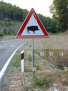 離婚官司可以全權(quán)委托律師嗎(起訴離婚可不可以全權(quán)委托律師)