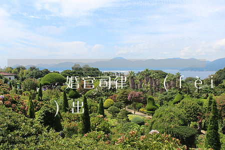 離婚官司律師費(fèi)用誰(shuí)出