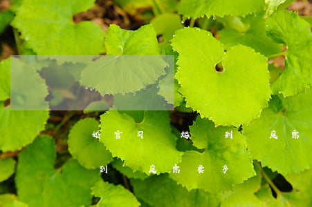 離婚官司從起訴到開庭需要多久(離婚提起訴訟到開庭需要多長時間)