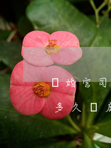 離婚官司從起訴到開庭需要多久(離婚起訴了多久開庭)