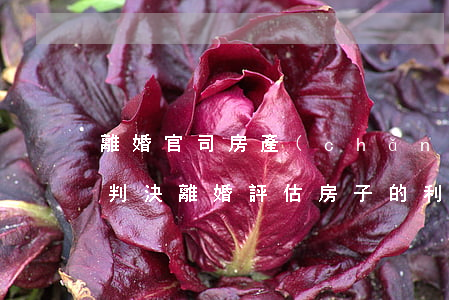 離婚官司房產(chǎn)評估后會怎么樣判決(離婚評估房子的利弊)