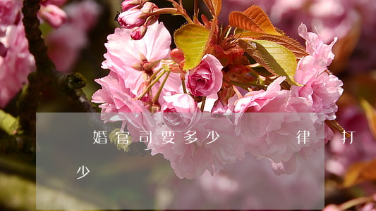 離婚官司要多少錢(請個律師打離婚官司要多少錢)