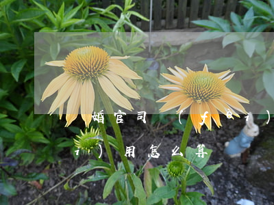 離婚官司費(fèi)用(離婚官司費(fèi)用怎么算)