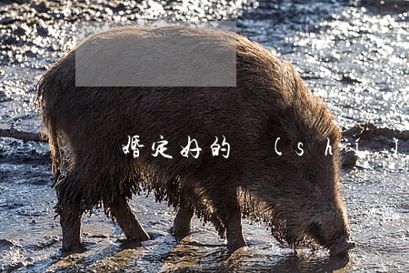 離婚定好的時(shí)間可以推遲嗎