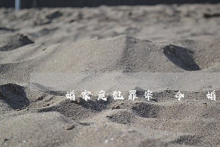 離婚家庭犯罪率(當今離婚率有多高)