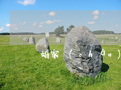 離婚家產(chǎn)怎么分