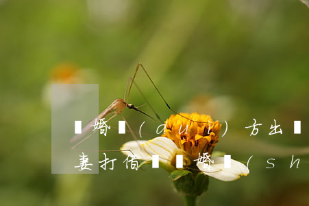 離婚對(duì)方出錢寫的借條怎么辦(夫妻打借條,離婚時(shí)用還錢嗎?)