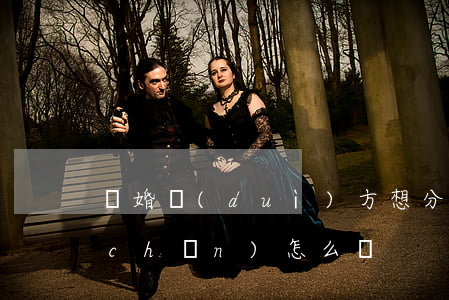 離婚對(duì)方想分財(cái)產(chǎn)怎么辦