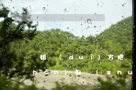 離婚對(duì)方把財(cái)產(chǎn)都轉(zhuǎn)移了怎么辦