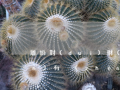 離婚對(duì)財(cái)產(chǎn)有爭(zhēng)議怎么走