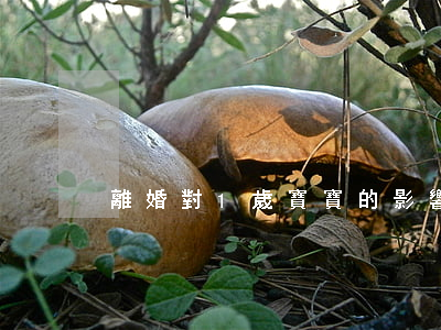 離婚對1歲寶寶的影響