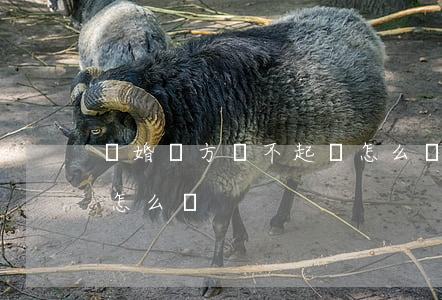 離婚對方給不起錢怎么辦(想離婚對方不給錢怎么辦)