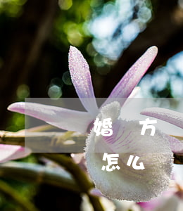 離婚對方貸款還不起(離婚欠貸款還不了法院會怎么樣?)