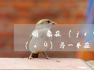 離婚對象在監(jiān)獄需要什么手續(xù)(另一半在監(jiān)獄怎么辦理離婚)