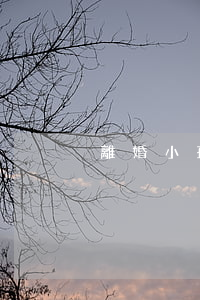 離婚小孩上學怎么辦理