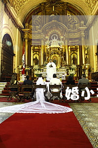 離婚小孩改姓申請范文