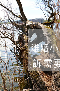 離婚小產(chǎn)權(quán)房起訴需要提供什么(婚前買的小產(chǎn)權(quán)房離婚如何分配)