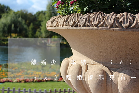 離婚少一本結(jié)婚證可以領(lǐng)離婚證嗎(只有一本結(jié)婚證怎么辦離婚手續(xù))