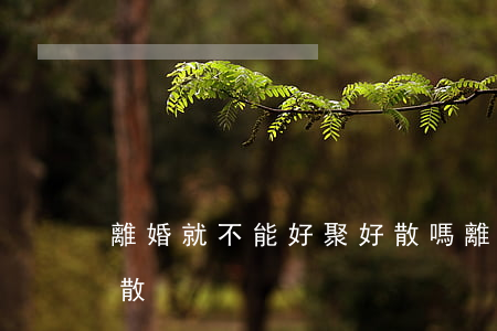 離婚就不能好聚好散嗎(離婚想說的話,好聚好散)