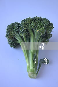 離婚帶倆孩子的女士(35離婚女人獨(dú)自帶倆孩子)