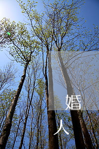 離婚帶兒子的女人最后都(帶著兒子離婚的女人)