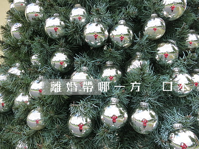 離婚帶哪一方戶口本