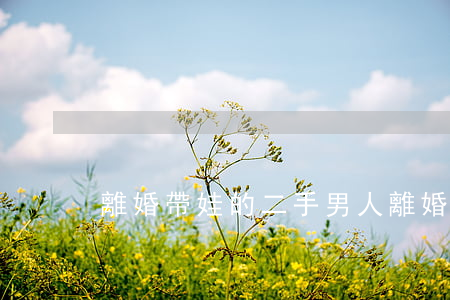 離婚帶娃的二手男人(離婚帶娃的二手男人)