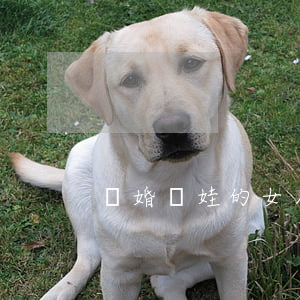 離婚帶娃的女人 離婚帶娃的女人