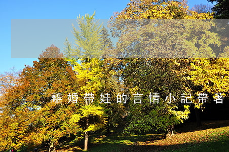 離婚帶娃的言情小記(帶著孩子離婚)