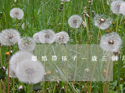 離婚帶孩子一歲三個月怎么辦