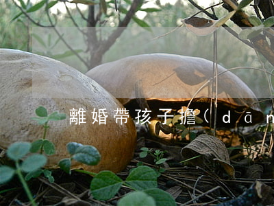 離婚帶孩子擔(dān)憂怎么辦