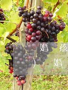 離婚帶孩子的男人和你做朋友(找一個(gè)離婚帶孩子的男人好嗎)