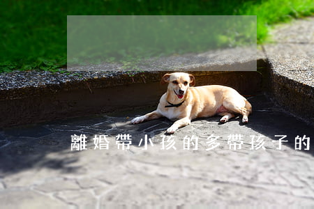 離婚帶小孩的多(帶孩子的離婚女人)