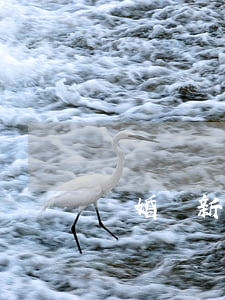離婚帶新歡來(lái)炫耀