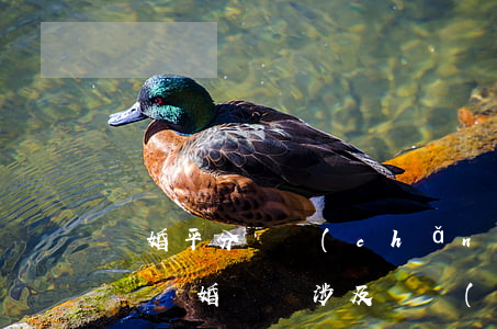 離婚平分財產(chǎn)需要多出訴訟費嗎(離婚訴訟涉及財產(chǎn)分割的訴訟費)