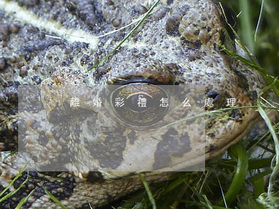 離婚彩禮怎么處理