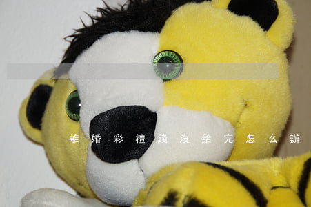 離婚彩禮錢沒給完怎么辦
