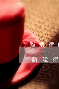 離婚律師一般是怎么收費(fèi)的(離婚訴訟律師怎么收費(fèi)的)