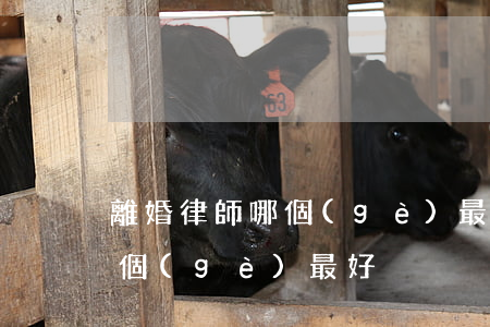 離婚律師哪個(gè)最好(青島離婚律師哪個(gè)最好)