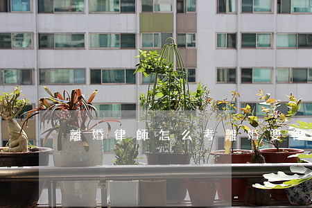 離婚律師怎么考(離婚要律師嗎)