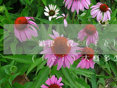 離婚律師收費(fèi)是多少(離婚律師費(fèi)大概多少)