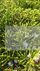 離婚律師收費(fèi)標(biāo)準(zhǔn)(烏魯木齊離婚律師收費(fèi)標(biāo)準(zhǔn))