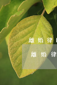 離婚律師昆明費(fèi)用大概多少(昆明離婚律師推薦)