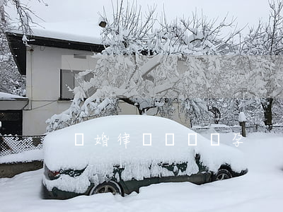 離婚律師羅鸝懷孕