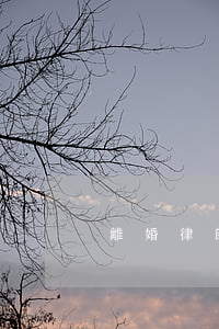 離婚律師讓開居住證明(離婚需要開證明嗎)
