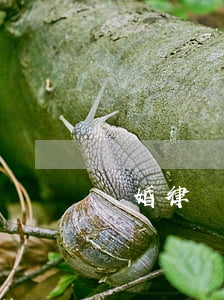離婚律師費(fèi)2萬(wàn)