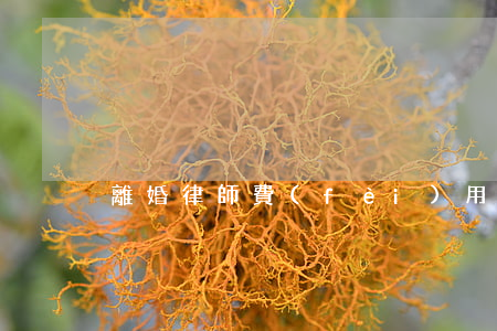 離婚律師費(fèi)用一般怎么收的